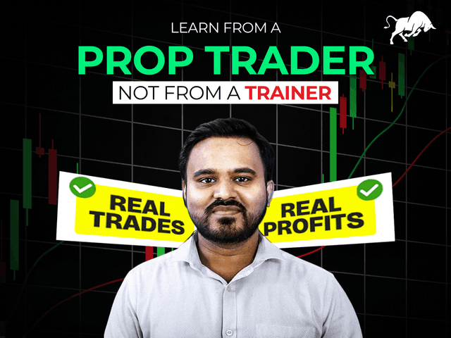 Profitway Trading - BULL RIDING