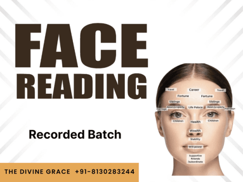 More information about "Face Reading Course"